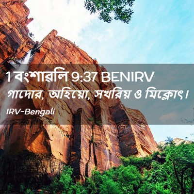 Picture 02 - 1 বংশাৱলি 9:37 BENIRV - গাদোর, অহিয়ো, - Bible Verse Picture