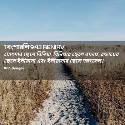 Picture 02 - 1 বংশাৱলি 9:43 BENIRV - মোৎসার ছেলে - Bible Verse Picture