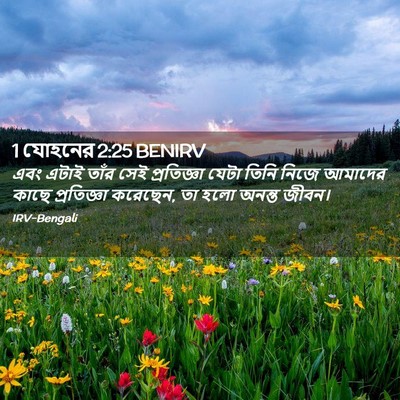 Picture 02 - 1 যোহনের 2:25 BENIRV - এবং এটাই তাঁর সেই - Bible Verse Picture