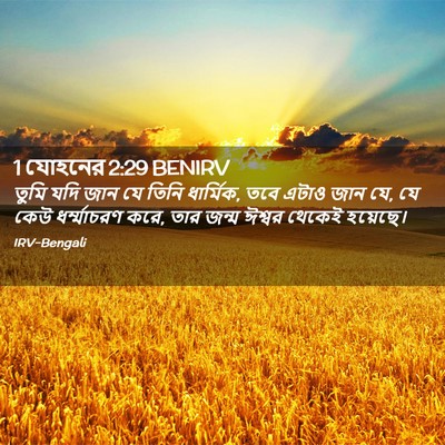 Picture 02 - 1 যোহনের 2:29 BENIRV - তুমি যদি জান যে - Bible Verse Picture