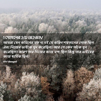 Picture 02 - 1 যোহনের 3:12 BENIRV - আমরা যেন কয়িনের - Bible Verse Picture