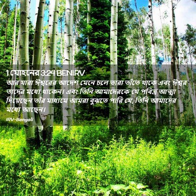 Picture 02 - 1 যোহনের 3:24 BENIRV - আর যারা ঈশ্বরের - Bible Verse Picture