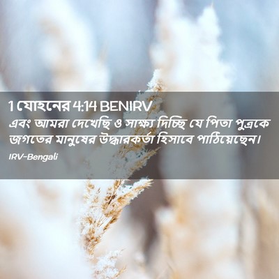 Picture 02 - 1 যোহনের 4:14 BENIRV - এবং আমরা দেখেছি ও - Bible Verse Picture