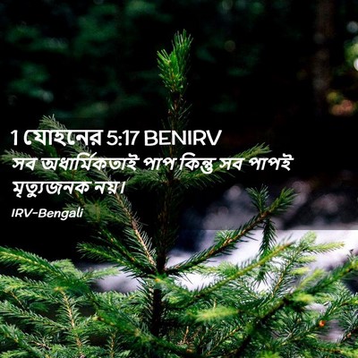 Picture 02 - 1 যোহনের 5:17 BENIRV - সব অধার্মিকতাই - Bible Verse Picture