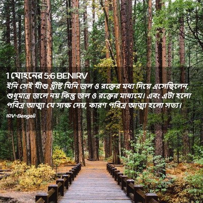 Picture 02 - 1 যোহনের 5:6 BENIRV - ইনি সেই যীশু - Bible Verse Picture