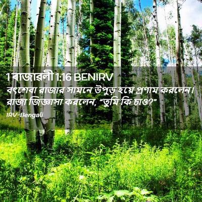 Picture 02 - 1 ৰাজাৱলী 1:16 BENIRV - বৎশেবা রাজার - Bible Verse Picture