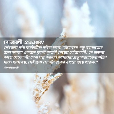Picture 02 - 1 ৰাজাৱলী 1:2 BENIRV - সেইজন্য তাঁর - Bible Verse Picture