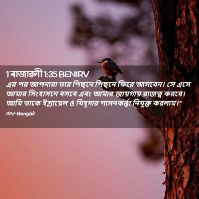 Picture 02 - 1 ৰাজাৱলী 1:35 BENIRV - এর পর আপনারা তার - Bible Verse Picture