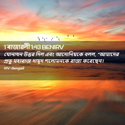 Picture 02 - 1 ৰাজাৱলী 1:43 BENIRV - যোনাথন উত্তর দিল - Bible Verse Picture