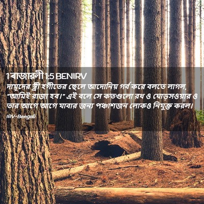 Picture 02 - 1 ৰাজাৱলী 1:5 BENIRV - দায়ূদের স্ত্রী - Bible Verse Picture