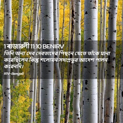 Picture 02 - 1 ৰাজাৱলী 11:10 BENIRV - তিনি অন্য দেব - Bible Verse Picture