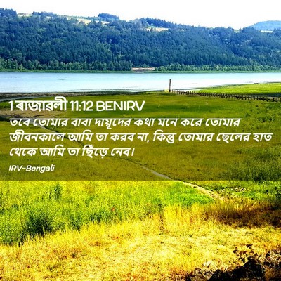 Picture 02 - 1 ৰাজাৱলী 11:12 BENIRV - তবে তোমার বাবা - Bible Verse Picture