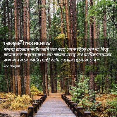 Picture 02 - 1 ৰাজাৱলী 11:13 BENIRV - অবশ্য রাজ্যের - Bible Verse Picture