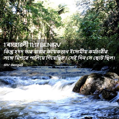 Picture 02 - 1 ৰাজাৱলী 11:17 BENIRV - কিন্তু হদদ তার - Bible Verse Picture
