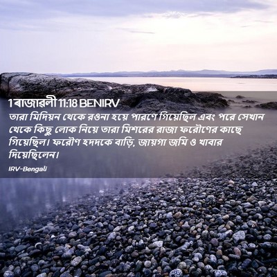 Picture 02 - 1 ৰাজাৱলী 11:18 BENIRV - তারা মিদিয়ন থেকে - Bible Verse Picture