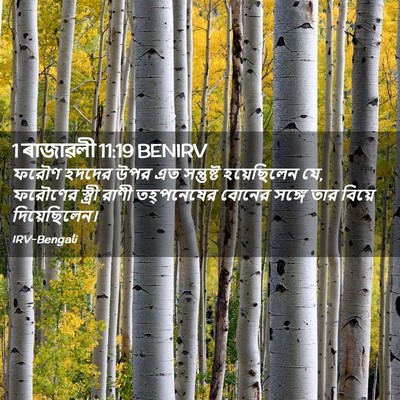 Picture 02 - 1 ৰাজাৱলী 11:19 BENIRV - ফরৌণ হদদের উপর এত - Bible Verse Picture