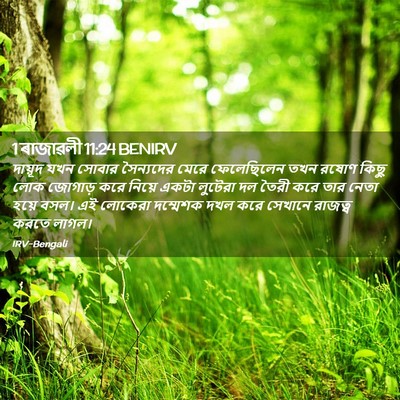 Picture 02 - 1 ৰাজাৱলী 11:24 BENIRV - দায়ূদ যখন সোবার - Bible Verse Picture