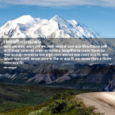 Picture 02 - 1 ৰাজাৱলী 11:33 BENIRV - আমি এটা করব, কারণ - Bible Verse Picture