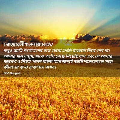 Picture 02 - 1 ৰাজাৱলী 11:34 BENIRV - তবুও আমি শলোমনের - Bible Verse Picture