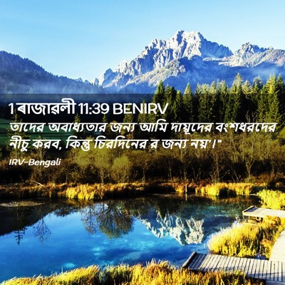 Picture 02 - 1 ৰাজাৱলী 11:39 BENIRV - তাদের অবাধ্যতার - Bible Verse Picture