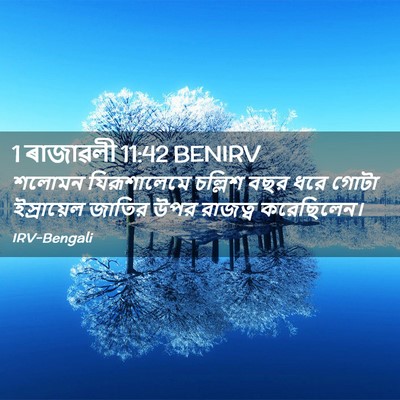 Picture 02 - 1 ৰাজাৱলী 11:42 BENIRV - শলোমন যিরূশালেমে - Bible Verse Picture