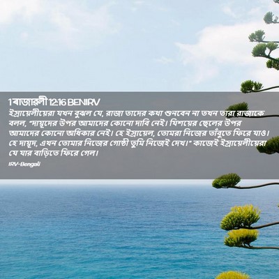 Picture 02 - 1 ৰাজাৱলী 12:16 BENIRV - ইস্রায়েলীয়েরা - Bible Verse Picture