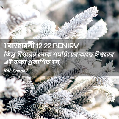 Picture 02 - 1 ৰাজাৱলী 12:22 BENIRV - কিন্তু ঈশ্বরের - Bible Verse Picture