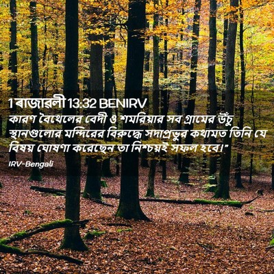 Picture 02 - 1 ৰাজাৱলী 13:32 BENIRV - কারণ বৈথেলের বেদী - Bible Verse Picture