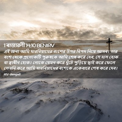 Picture 02 - 1 ৰাজাৱলী 14:10 BENIRV - এই জন্য আমি - Bible Verse Picture