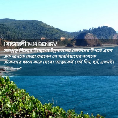 Picture 02 - 1 ৰাজাৱলী 14:14 BENIRV - সদাপ্রভু নিজের - Bible Verse Picture