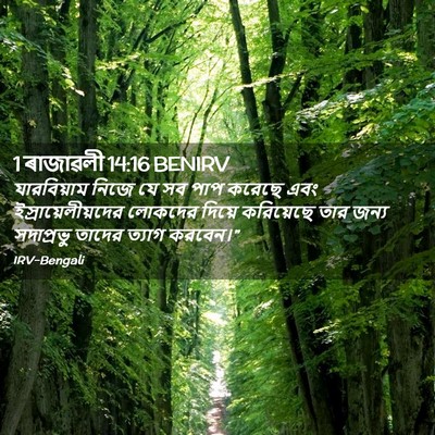 Picture 02 - 1 ৰাজাৱলী 14:16 BENIRV - যারবিয়াম নিজে যে - Bible Verse Picture