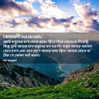 Picture 02 - 1 ৰাজাৱলী 14:8 BENIRV - আমি দায়ূদের বংশ - Bible Verse Picture