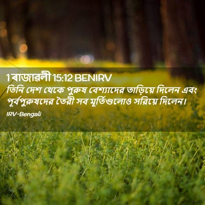 Picture 02 - 1 ৰাজাৱলী 15:12 BENIRV - তিনি দেশ থেকে - Bible Verse Picture