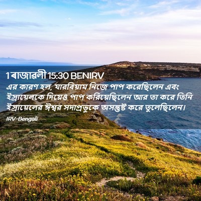 Picture 02 - 1 ৰাজাৱলী 15:30 BENIRV - এর কারণ হল, - Bible Verse Picture