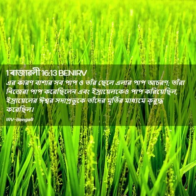 Picture 02 - 1 ৰাজাৱলী 16:13 BENIRV - এর কারণ বাশার সব - Bible Verse Picture