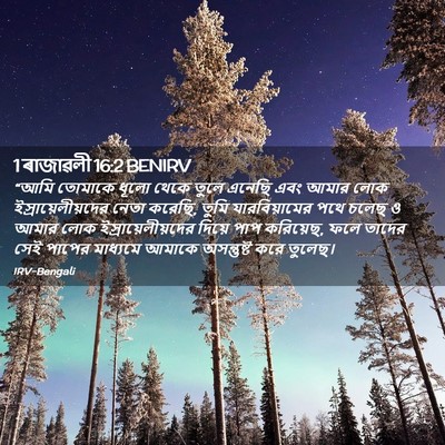Picture 02 - 1 ৰাজাৱলী 16:2 BENIRV - “আমি তোমাকে ধূলো - Bible Verse Picture