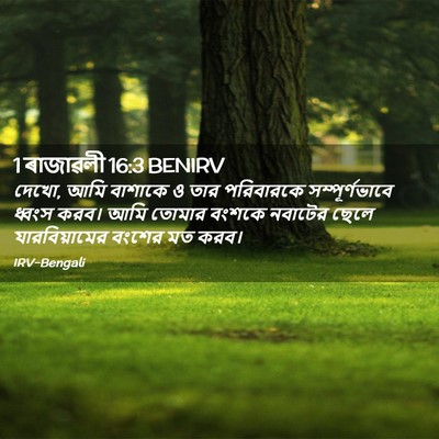 Picture 02 - 1 ৰাজাৱলী 16:3 BENIRV - দেখো, আমি বাশাকে ও - Bible Verse Picture