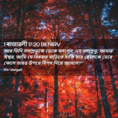 Picture 02 - 1 ৰাজাৱলী 17:20 BENIRV - আর তিনি - Bible Verse Picture