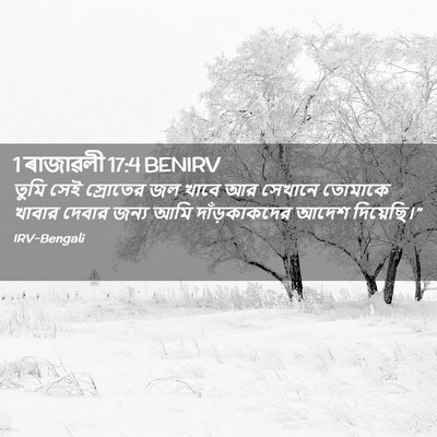 Picture 02 - 1 ৰাজাৱলী 17:4 BENIRV - তুমি সেই স্রোতের - Bible Verse Picture