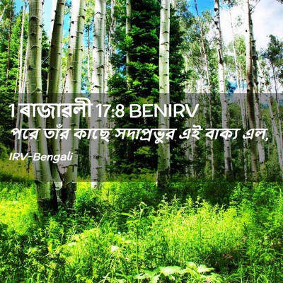 Picture 02 - 1 ৰাজাৱলী 17:8 BENIRV - পরে তাঁর কাছে - Bible Verse Picture