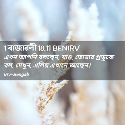 Picture 02 - 1 ৰাজাৱলী 18:11 BENIRV - এখন আপনি বলছেন, - Bible Verse Picture
