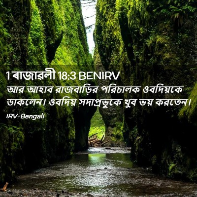 Picture 02 - 1 ৰাজাৱলী 18:3 BENIRV - আর আহাব রাজবাড়ির - Bible Verse Picture