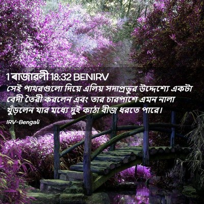 Picture 02 - 1 ৰাজাৱলী 18:32 BENIRV - সেই পাথরগুলো - Bible Verse Picture