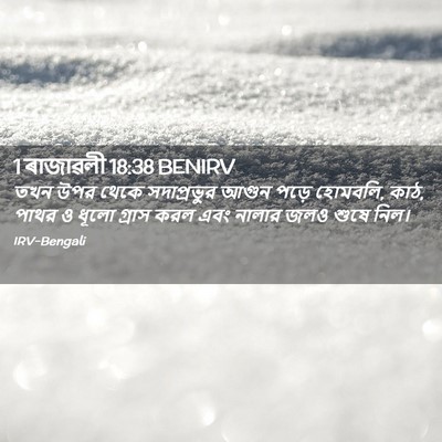 Picture 02 - 1 ৰাজাৱলী 18:38 BENIRV - তখন উপর থেকে - Bible Verse Picture