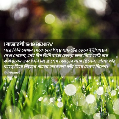 Picture 02 - 1 ৰাজাৱলী 19:19 BENIRV - পরে তিনি সেখান - Bible Verse Picture