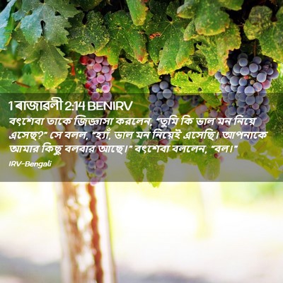 Picture 02 - 1 ৰাজাৱলী 2:14 BENIRV - বৎশেবা তাকে - Bible Verse Picture