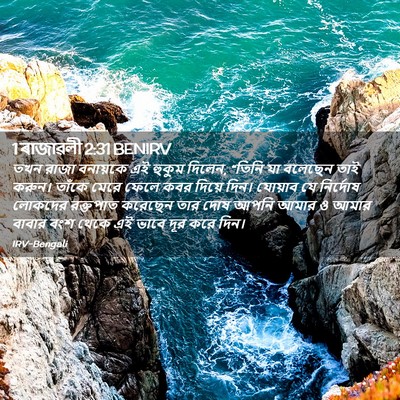 Picture 02 - 1 ৰাজাৱলী 2:31 BENIRV - তখন রাজা বনায়কে - Bible Verse Picture