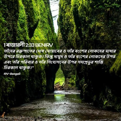 Picture 02 - 1 ৰাজাৱলী 2:33 BENIRV - তাঁদের রক্তপাতের - Bible Verse Picture