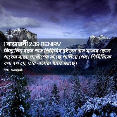 Picture 02 - 1 ৰাজাৱলী 2:39 BENIRV - কিন্তু তিন বছর পরে - Bible Verse Picture