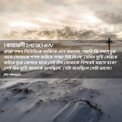 Picture 02 - 1 ৰাজাৱলী 2:42 BENIRV - রাজা তখন - Bible Verse Picture
